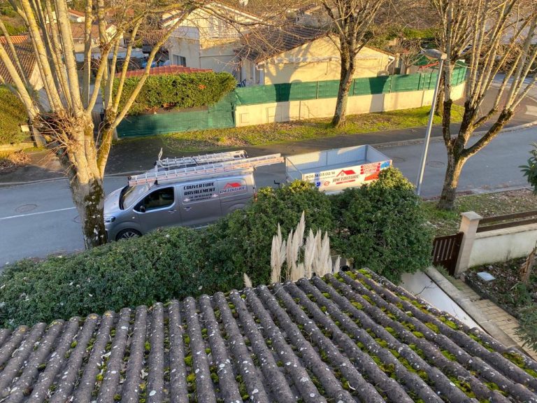 Toiture en tuiles couverte de mousses avant démoussage, camionnette AM Toiture en contrebas